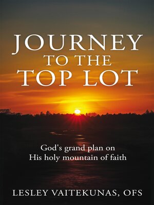 cover image of Journey to the Top Lot